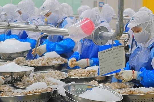 Doanh nghiệp ngành tôm nỗ lực “vượt sóng”