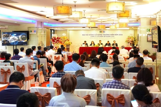 ĐHĐCĐ Tập đoàn CEO: Tập trung phát triển các dự án bất động sản