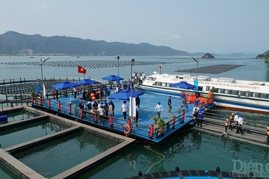 Quảng Ninh: Phát triển sản phẩm du lịch gắn với giá trị khác biệt