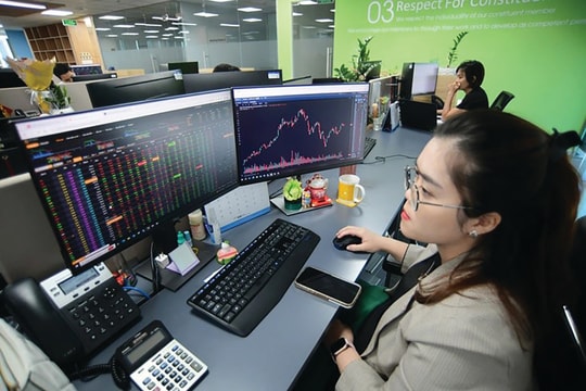 Thị trường chứng khoán đã tạo đáy?