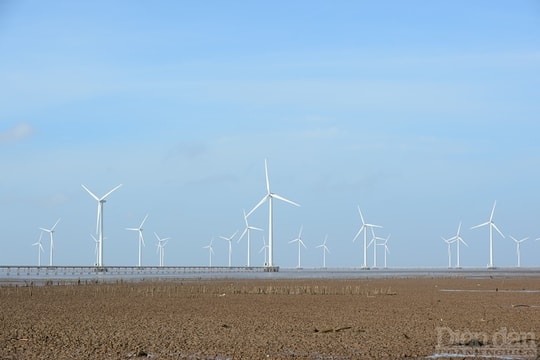 Sửa Luật Điện lực: Nhiều quy định về điện gió ngoài khơi còn bất cập