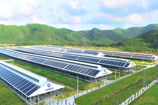 Doanh nghiệp mong mỏi chính sách điện mặt trời mái nhà