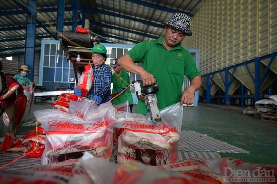 Cắt giảm điều kiện kinh doanh – Vẫn chờ “đột phá”