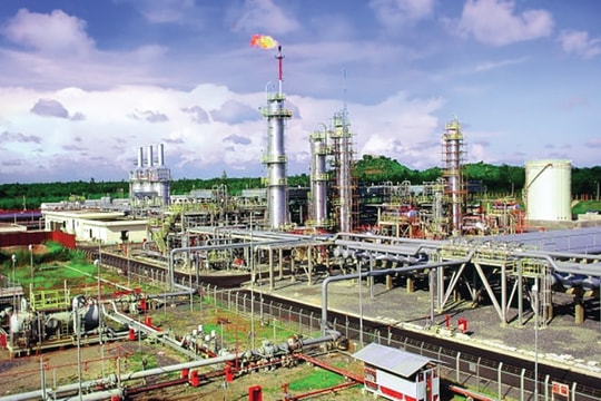 Tiềm năng cổ phiếu dầu khí