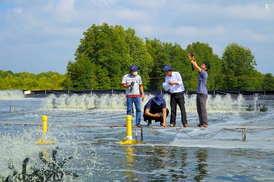 Công ty khởi nghiệp công nghệ thủy sản Việt muốn tìm kiếm nguồn vốn mới để phát triển B2B