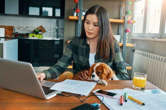 Xu hướng tìm kiếm “công việc từ xa” đang nở rộ?