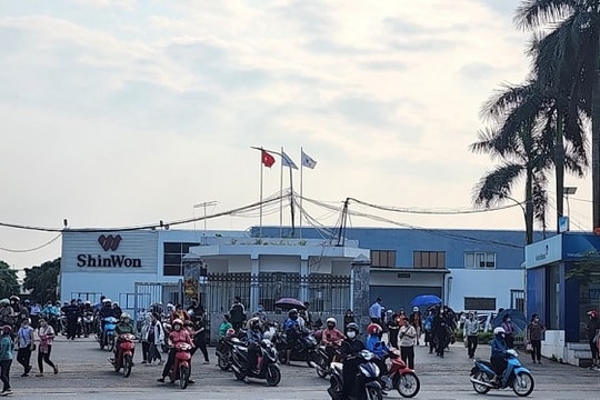 Báo động tình trạng mất an toàn thực phẩm