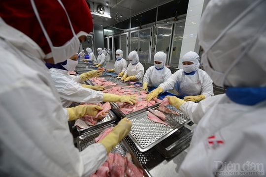 Chính sách “gây khó” – VASEP đề nghị tháo gỡ