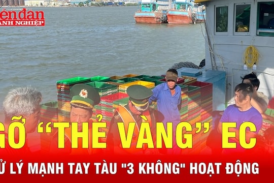 Gỡ “thẻ vàng” EC: Xử lý mạnh tay tàu “3 không”  hoạt động