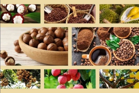 Gameshow Hành trình OCOP – Cùng lan tỏa giá trị sản phẩm địa phương