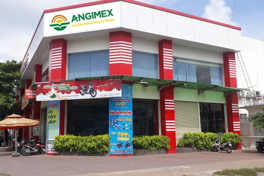 Vì sao AGM bị thu hồi hơn 45 tỷ đồng tiền hoàn thuế?
