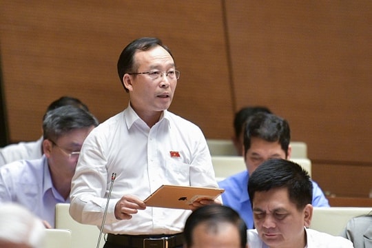 Xem xét quy định các đối tượng không được đăng ký đấu giá