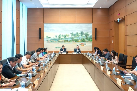 Hàng chục nghìn căn hộ tái định cư bỏ hoang gây lãng phí: Làm rõ trách nhiệm các bên liên quan