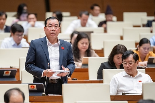 Cần đứng từ góc độ doanh nghiệp để hiểu hơn họ muốn gì