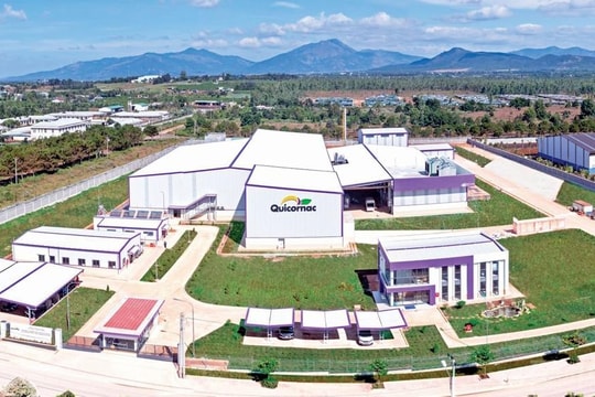 Tây Nguyên: Động lực từ nguồn vốn FDI