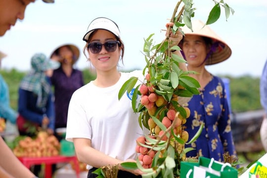 Hải Dương: Du lịch gắn với sản phẩm nông nghiệp