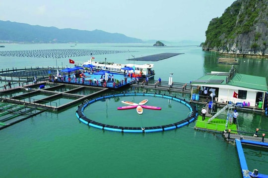 Phát triển kinh tế biển xanh