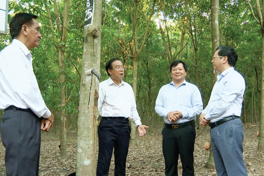 “Cú hích” kinh tế tư nhân Bình Phước