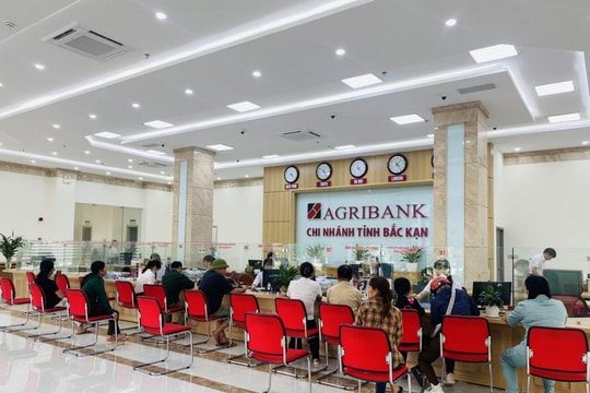 Agribank Bắc Kạn: Đồng hành cùng doanh nghiệp
