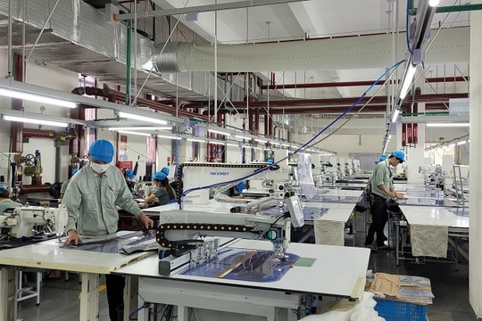 Quảng Ninh: Đặt niềm tin lớn vào nhóm ngành chế biến, chế tạo