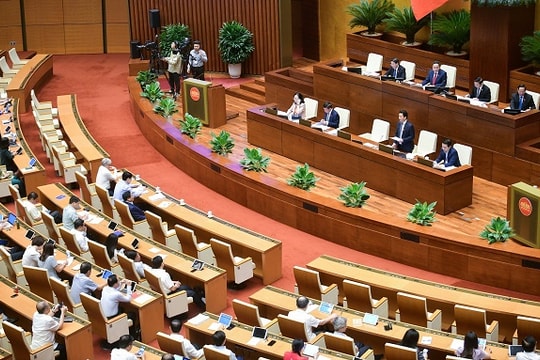 ĐBQH “truy” đấu giá quyền khai thác khoáng sản