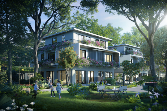 Những “ngôi nhà giữa rừng” tại vùng đất Blue Zones