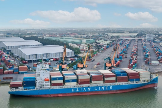 HAH, GMD và PVT: Triển vọng của cổ phiếu ngành cảng và vận tải biển