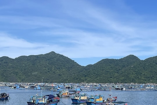 Ninh Thuận: Bám sát Chỉ thị 32-CT/TW để phát triển ngành thuỷ sản bền vững