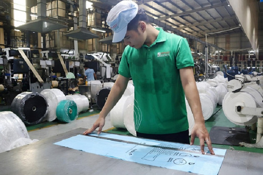 Khởi nghiệp thành công nhờ đưa thương hiệu bao bì vươn tầm quốc tế