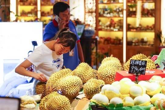 Sầu riêng Việt "chiếm sóng" tại Trung Quốc