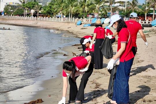 SeABank ra quân làm sạch bờ biển tại 11 tỉnh thành, hướng tới phát triển bền vững