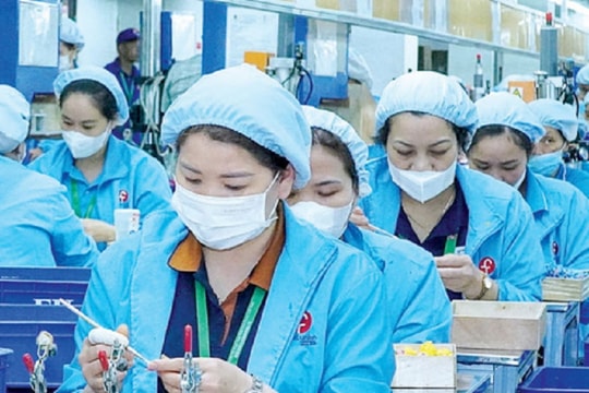 Thái Bình: Doanh nghiệp “khát” nhân lực chất lượng cao