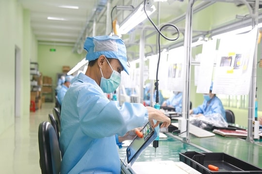 Ngành công nghệ thông tin Đà Nẵng tăng trưởng nhanh