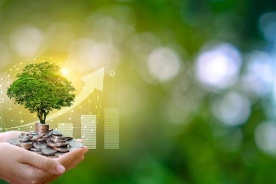 Diễn đàn Greenovation 2024: “Đầu tư và phát triển xanh”