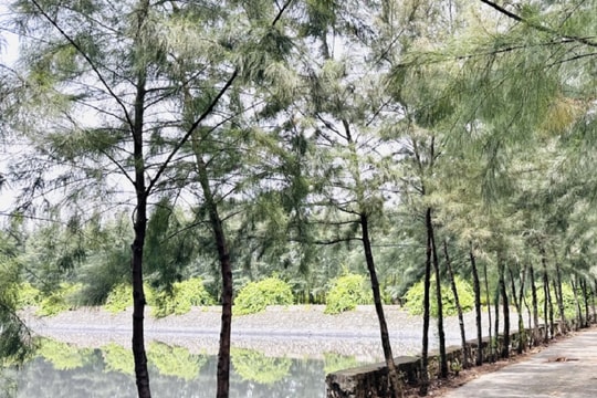 Quảng Ninh: Tập trung mọi nguồn lực phát triển nền kinh tế xanh