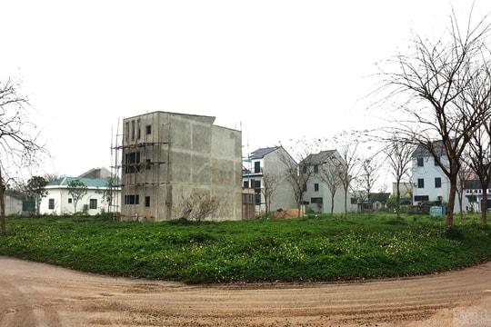 Doanh nghiệp Nghệ An liên tục dính “trát” do nợ thuế triền miên