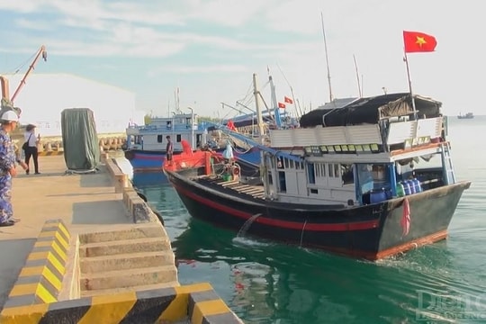 Trường Sa: Mái nhà thân thuộc của ngư dân khi đánh bắt xa bờ