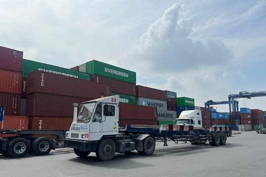 19 tấn cà phê, hạt tiêu xuất khẩu nghi bị “rút ruột”: Chuyện gì đang xảy ra?