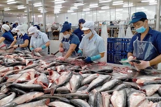 Khơi thông dòng cho nông, lâm, thuỷ sản chảy ra thế giới