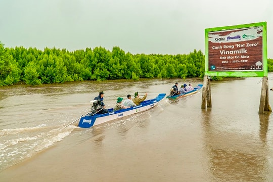 Cánh rừng Net Zero Vinamilk tại Cà Mau đón những đàn chim trở về