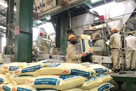 Triển vọng tích cực thị trường thức ăn chăn nuôi của Việt Nam