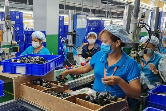 Thái Bình: Cần khoảng 12 nghìn lao động có tay nghề