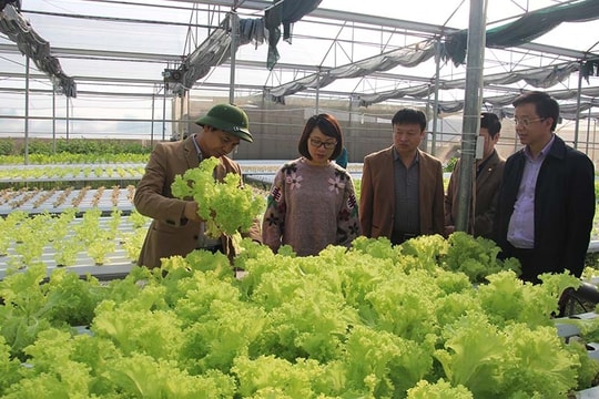 Quảng Ninh: Mở đường cho nông sản "xuất ngoại"