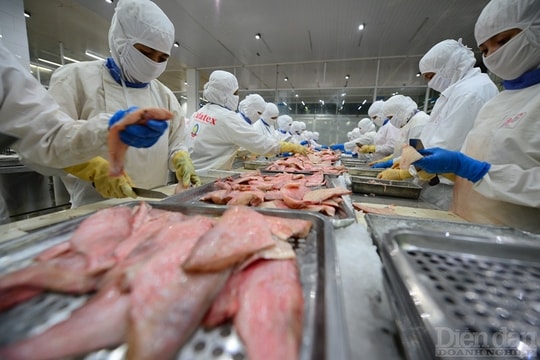 Gia hạn nộp thuế, tiền thuê đất: giảm gánh nặng tài chính cho doanh nghiệp