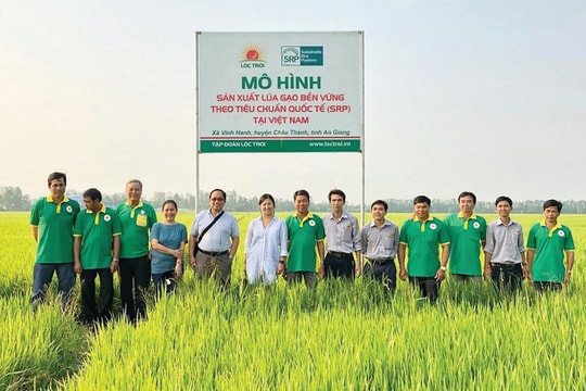 Hỗ trợ doanh nghiệp chuyển đổi xanh: Cần cú hích từ thể chế, chính sách