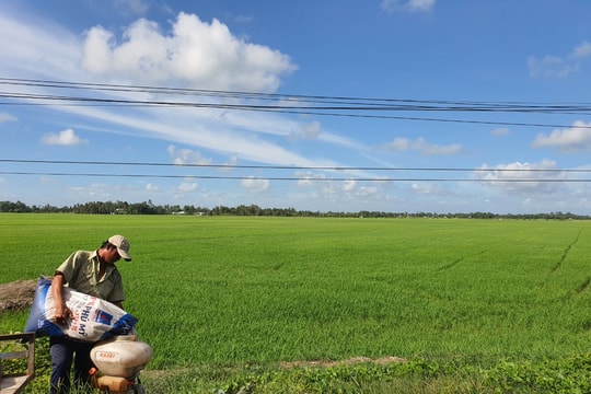 Luật Thuế 71/2014: Đã đến lúc không thể không sửa đổi