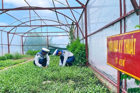 Trồng rau trên sóng