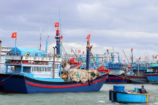 Phú Yên: Đẩy mạnh nuôi biển để chống khai thác vi phạm "IUU"