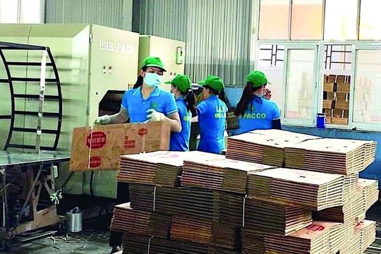 Hỗ trợ doanh nghiệp lớn mạnh: Cần sớm xem xét giảm thuế TNDN