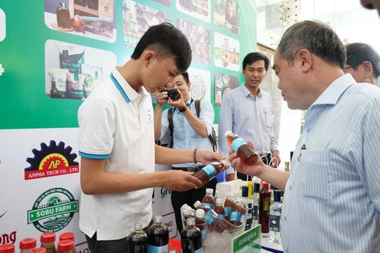 Quảng Ngãi: Nâng cao hiệu quả và sức cạnh tranh cho hệ sinh thái khởi nghiệp đổi mới sáng tạo